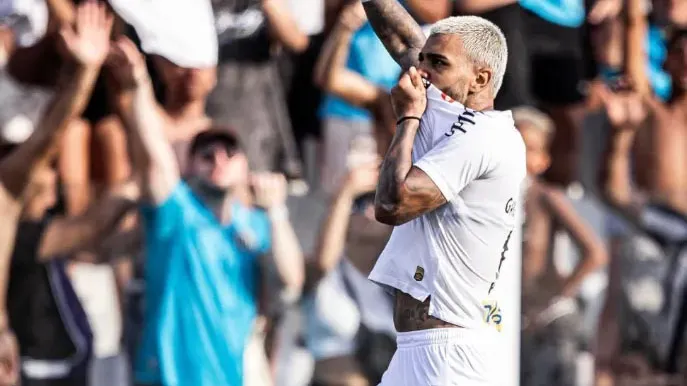 Santos vence Novorizontino por 2 a 1 no Campeonato Paulista, com Gabigol em destaque.