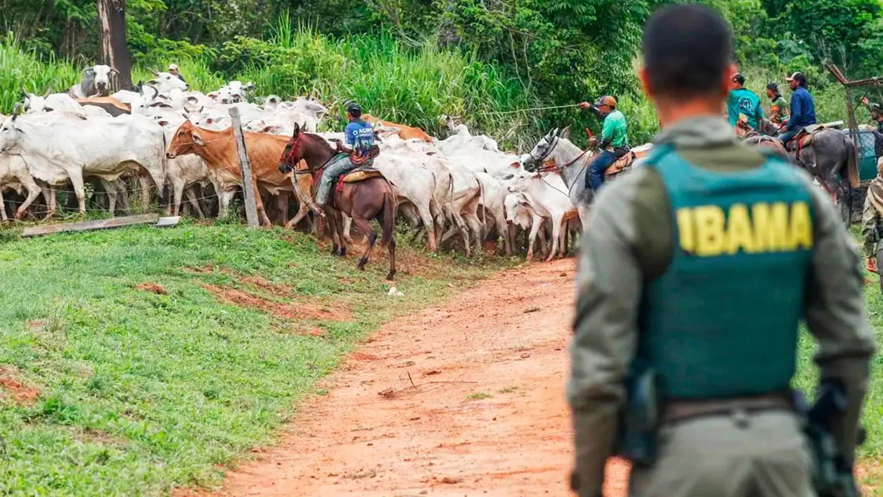 A ação cumpria uma decisão judicial do Supremo Tribunal Federal (STF), ajuizada em 2020