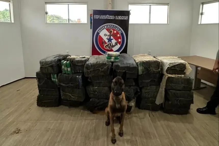 Durante a fiscalização de rotina, o cão farejador Black, do Batalhão de Ação com Cães da Polícia Militar, identificou a presença de substâncias suspeitas, o que resultou na apreensão de uma tonelada de drogas.
