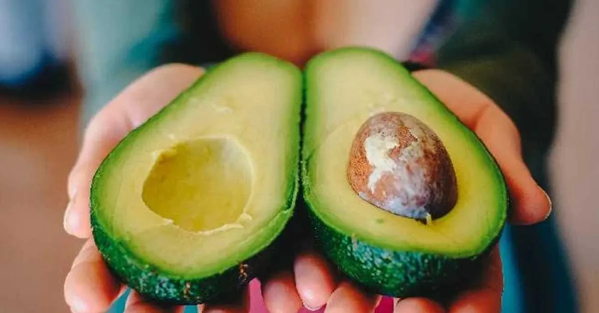 O abacate ajuda a soltar o intestino e traz inúmeros benefícios para a saúde. Confira!