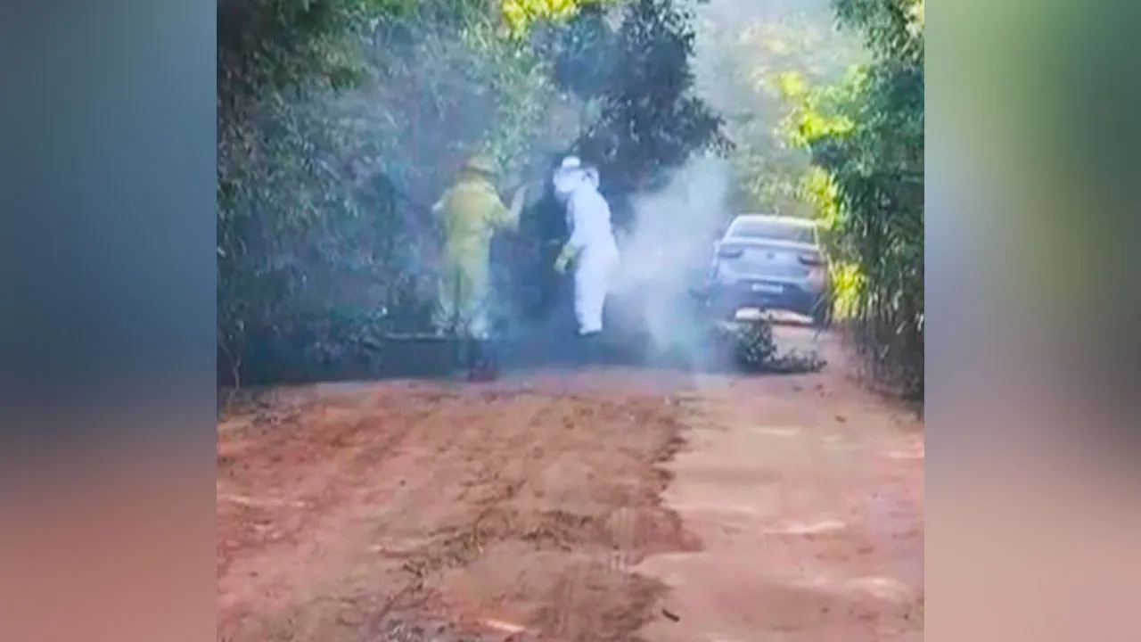 Equipes de resgate e policiamento ambiental trabalham no isolamento da área para evitar novos acidentes com o enxame.