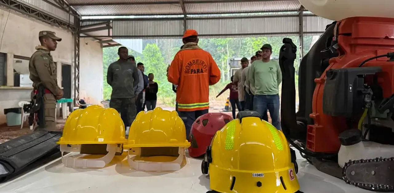 Semas publica resultado preliminar do PSS para novos Brigadistas Florestais. Confira detalhes!