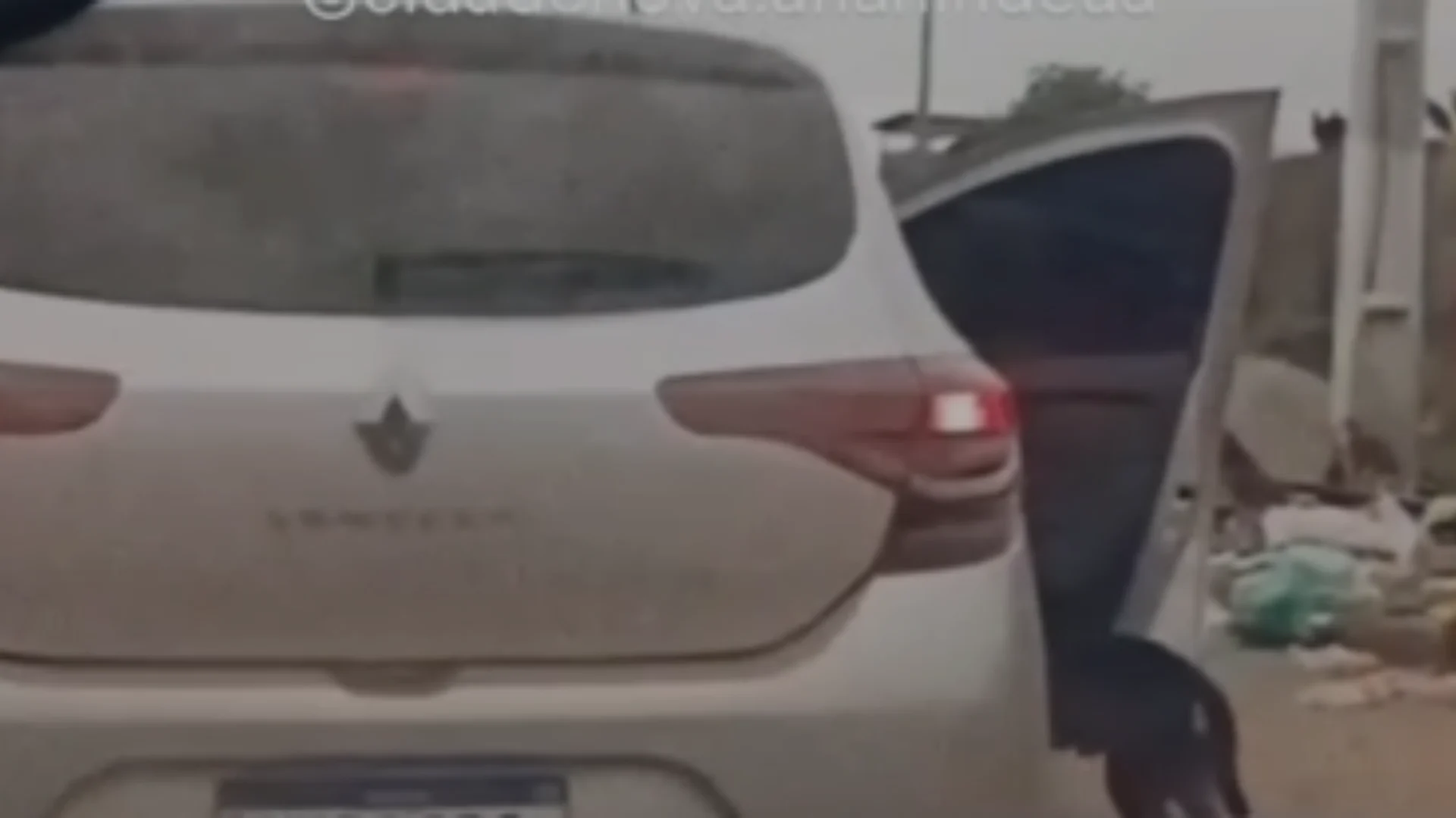 O cachorro foi abandonado por um carro no meio da avenida.