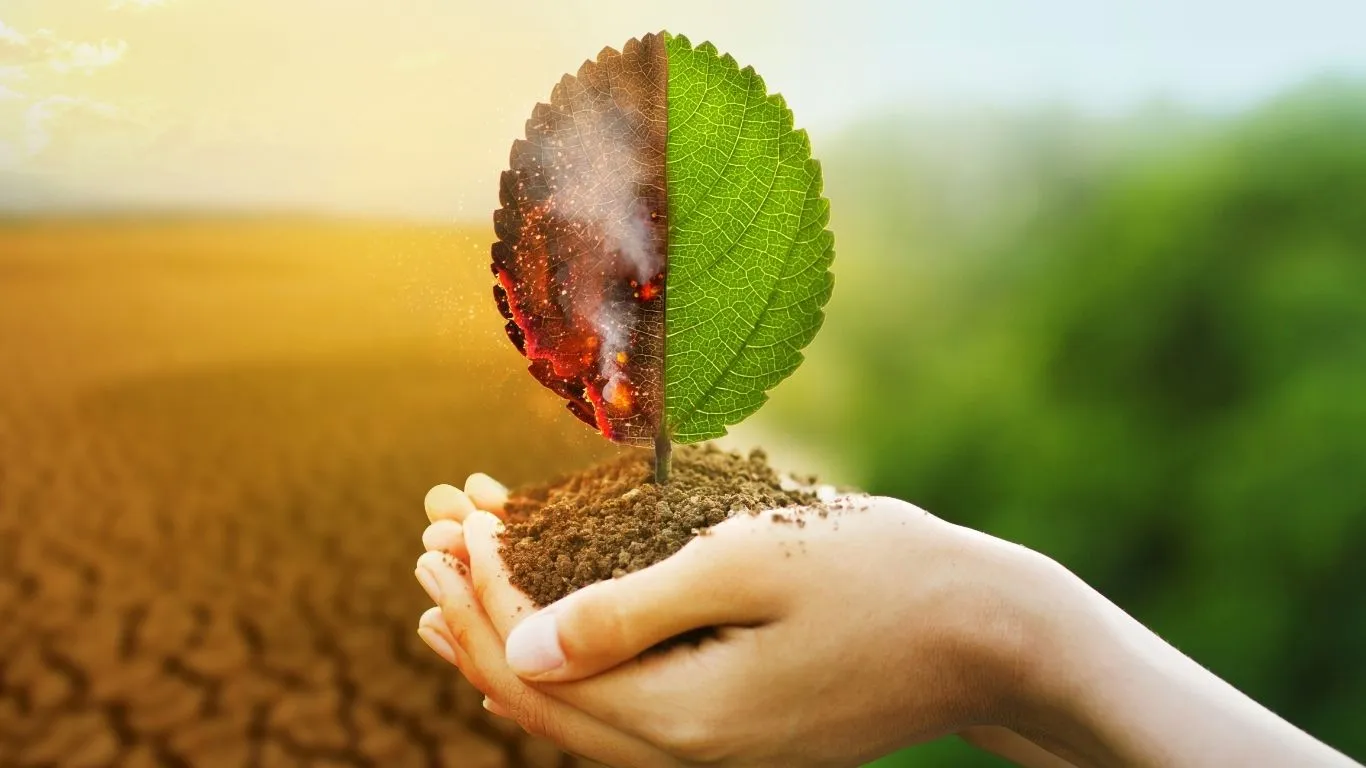 O enfrentamento às mudanças climáticas, marcadas por secas extremas e tempestades, está impulsionando um novo motor econômico