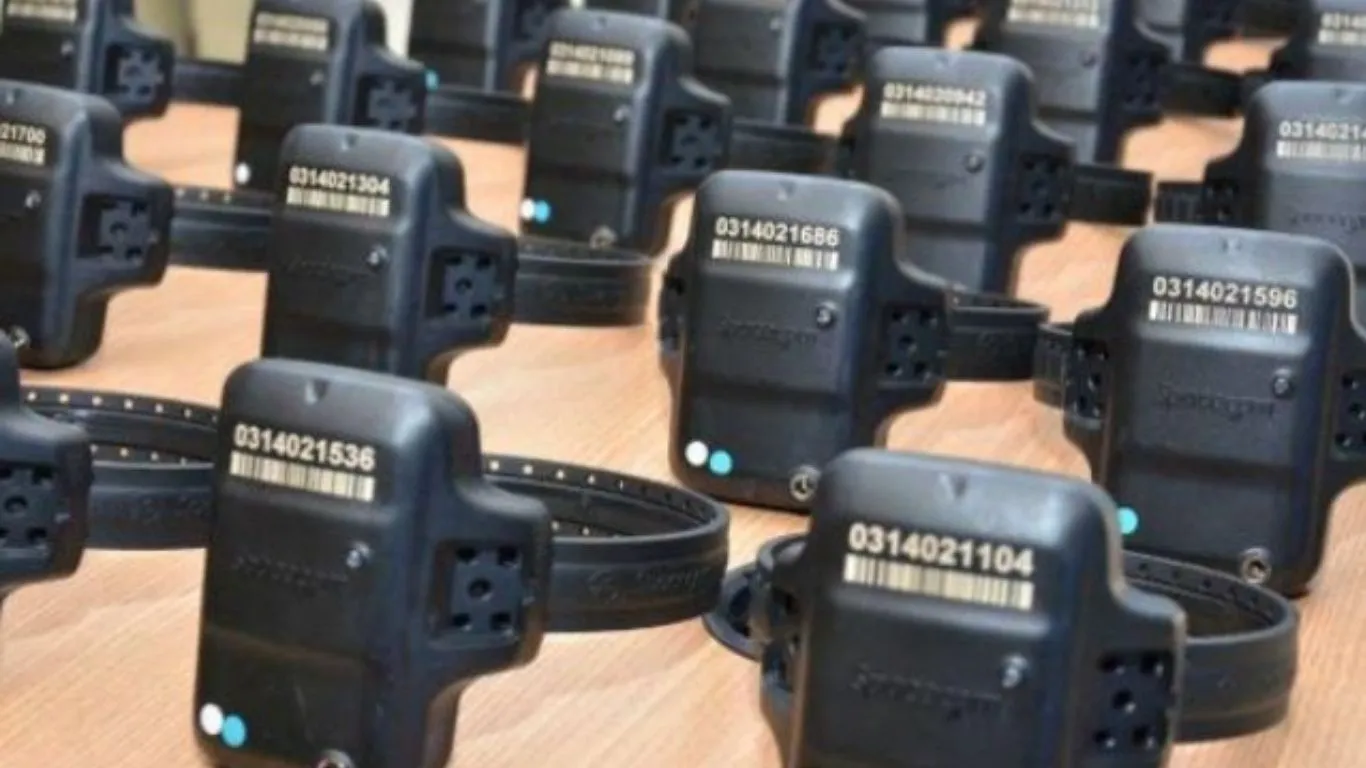 Projeto aprovado no Senado altera a Lei Maria da Penha e permite que delegados determinem o monitoramento eletrônico em casos de risco iminente.