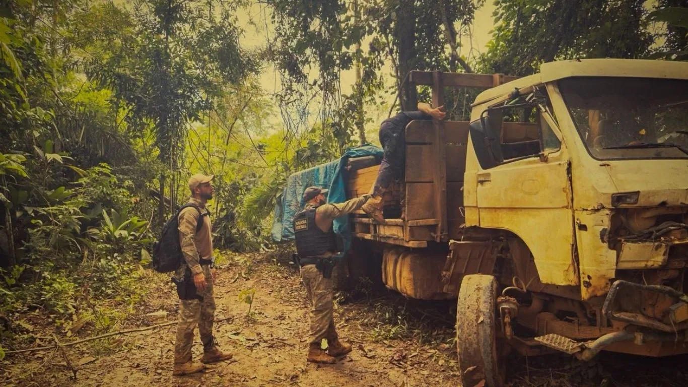 Uma operação integrada de combate a crimes ambientais foi deflagrada nesta sexta-feira (17)