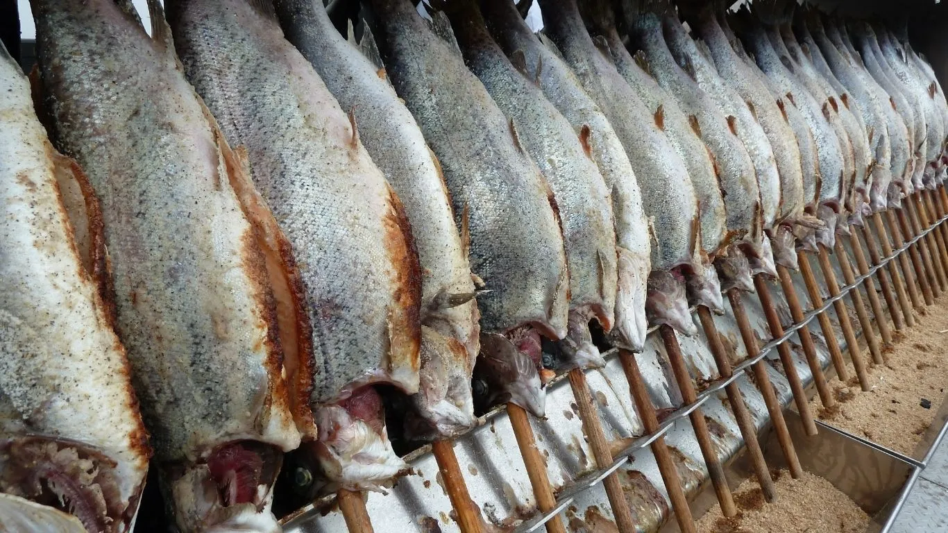 Muitas vezes, peixes como Saithe, Ling e Zarbo são vendidos como bacalhau devido ao custo mais baixo