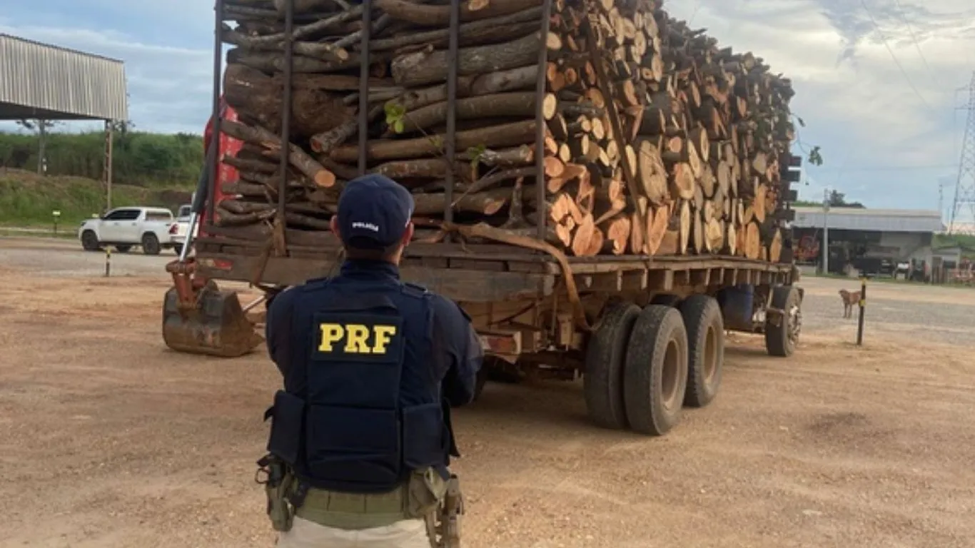 Segundo a PRF, a ausência do DOF configura crime ambiental