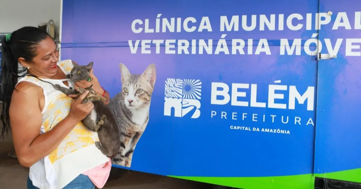 Tutores devem realizar cadastro prévio no Hospital Veterinário Municipal, manifestando interesse na castração, para participar das ações.