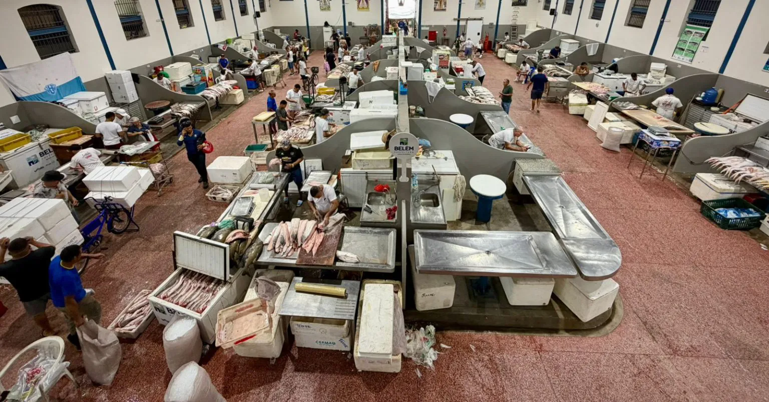 Para evitar extrapolações de preços, a Prefeitura de Belém realizará fiscalizações para controlar a saída do pescado que sai da capital a partir do dia 23 próximo.