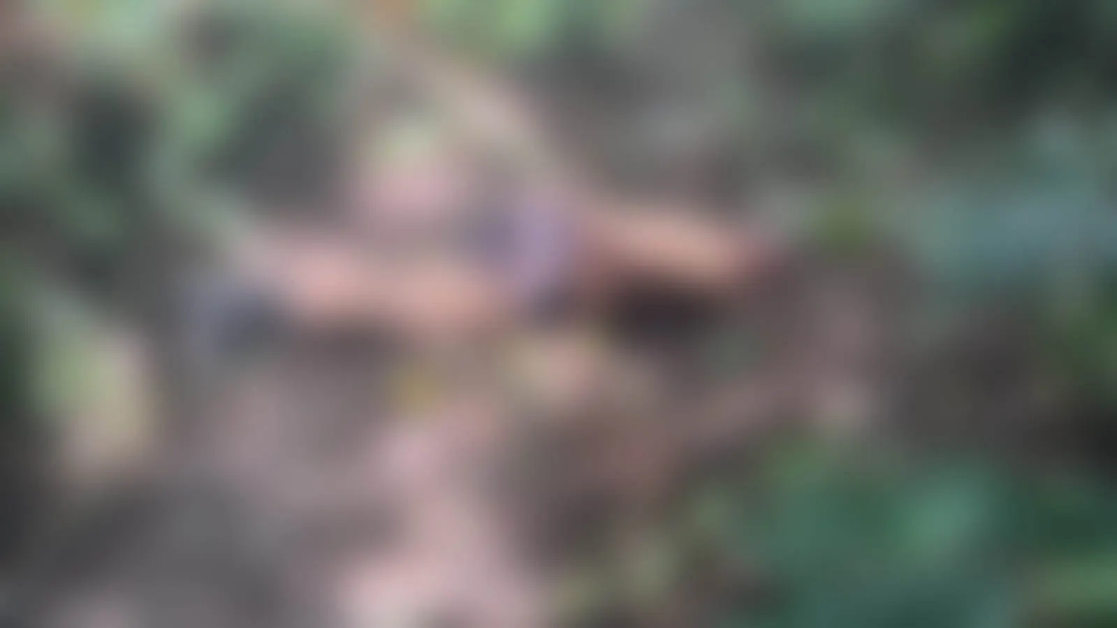 Corpo encontrado em Marituba