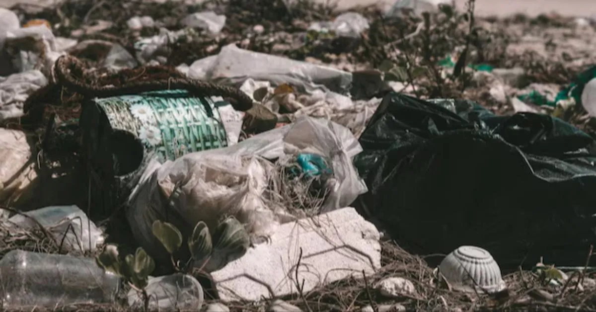 Governo do Pará recorre ao STJ para suspender audiência sobre a CTR Metropolitana