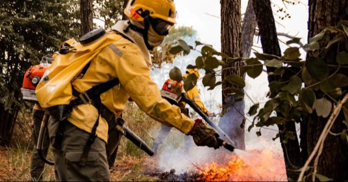 O prazo para o certame está se encerrando