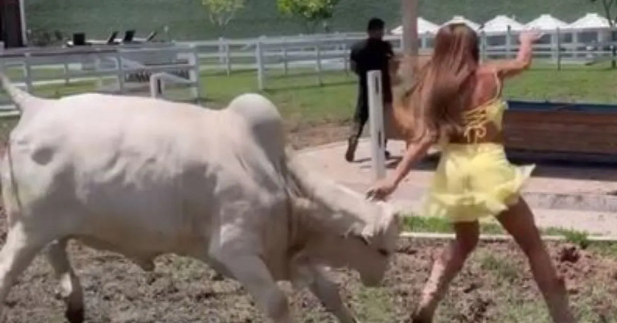 Mesmo com experiência, a apresentadora demonstrou que é necessário ter reflexos rápidos ao lidar com o gado.