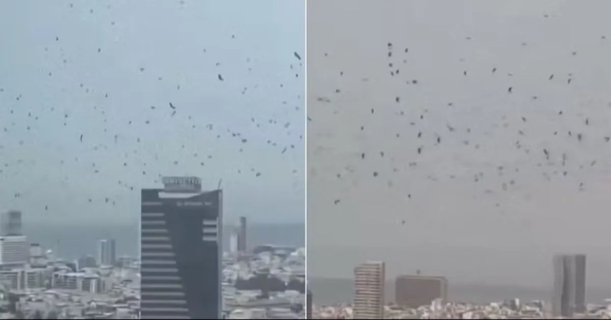 O efeito, visto de baixo, é de fato impressionante, especialmente sobre um horizonte conhecido apenas por arranha-céus.