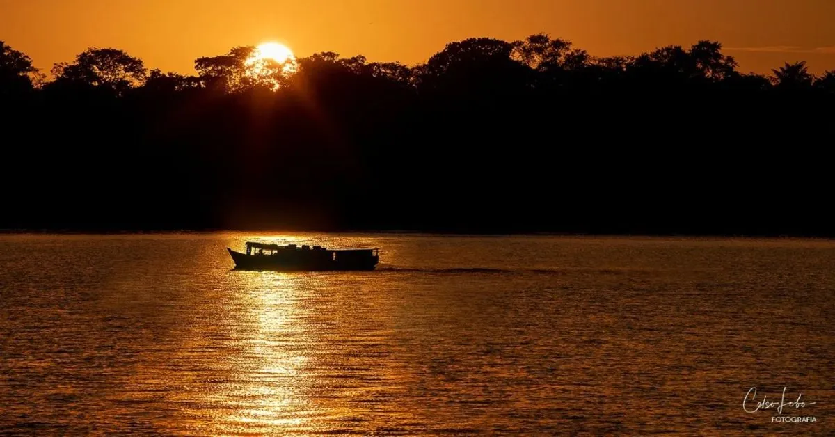 Exposição conta com curadoria de Thaisa Souza.