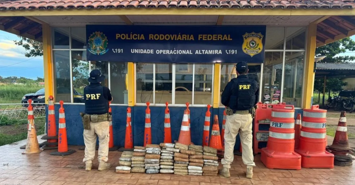 Agentes suspeitaram do transporte ilagal após motorista apresentar nevorvosismo com a fiscalização.