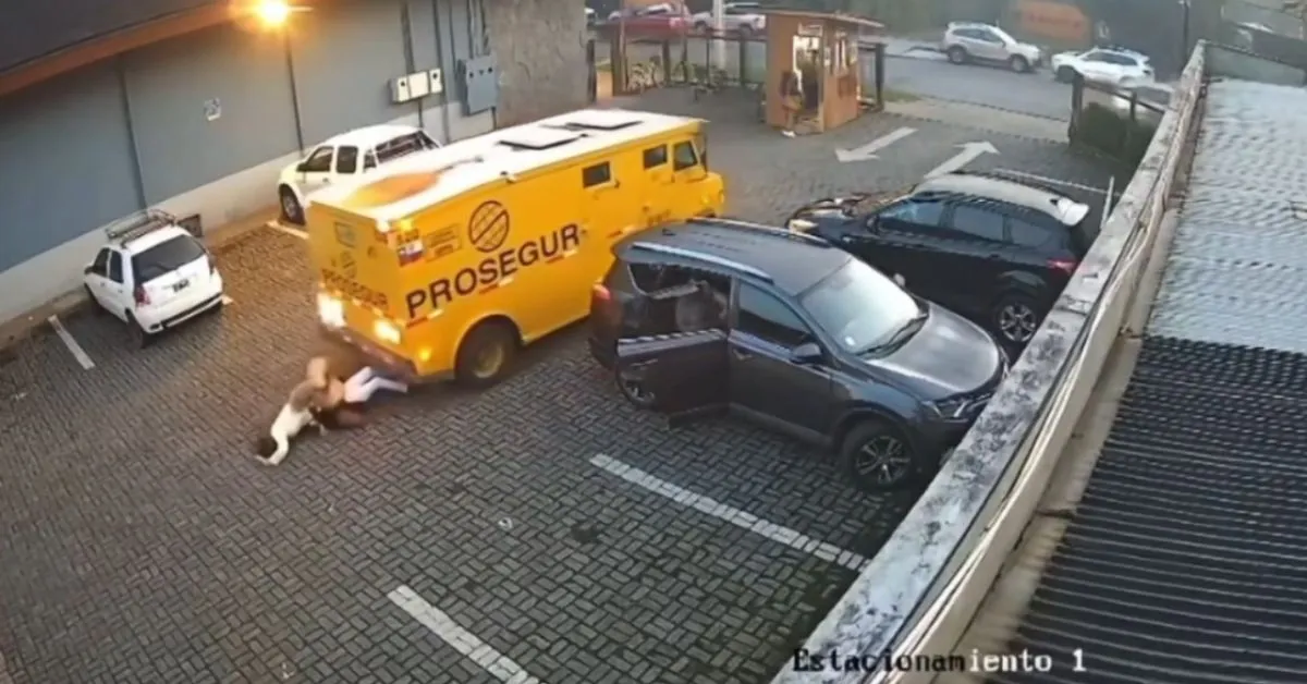 Investigação aponta desatenção do motorista durante manobra