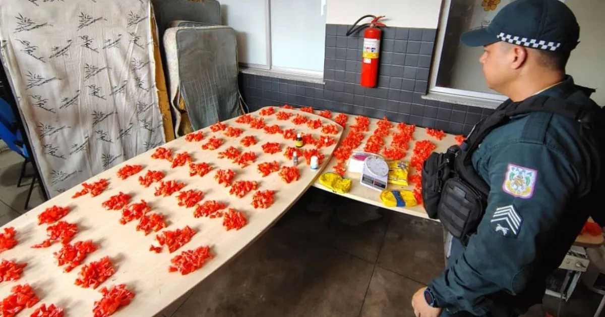 Parte dos entorpecentes apreendido pela PM