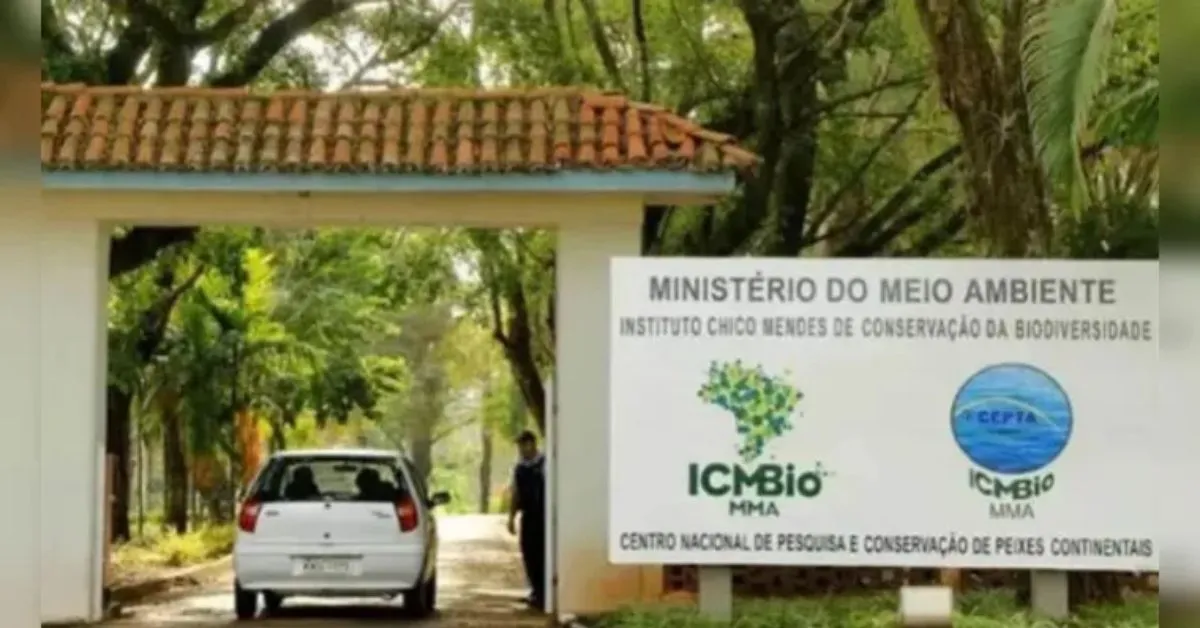 ICMBio quer montar equipe de brigadistas