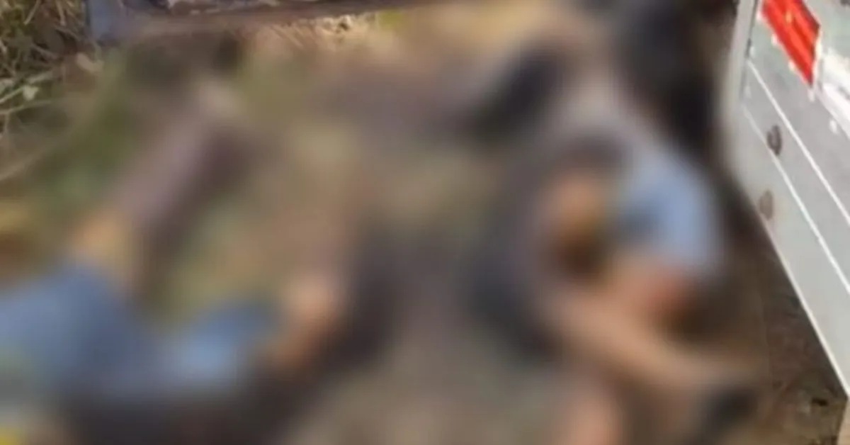 Avô e neta morreram eletrocutados