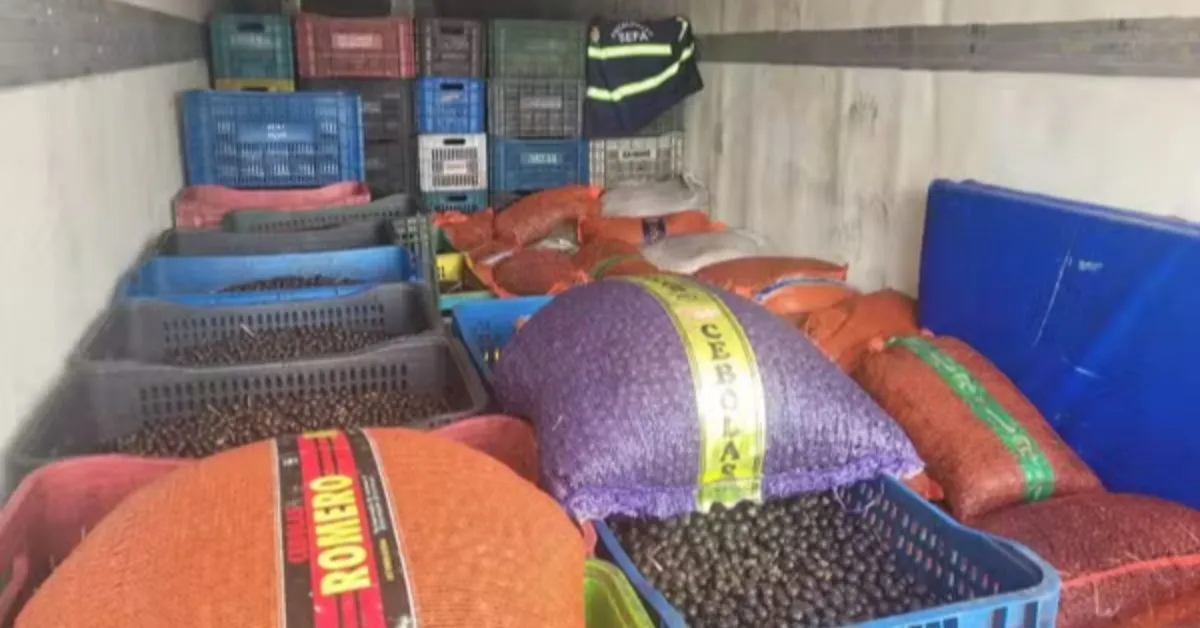 Cerca de 43 toneladas de açai apreendidos