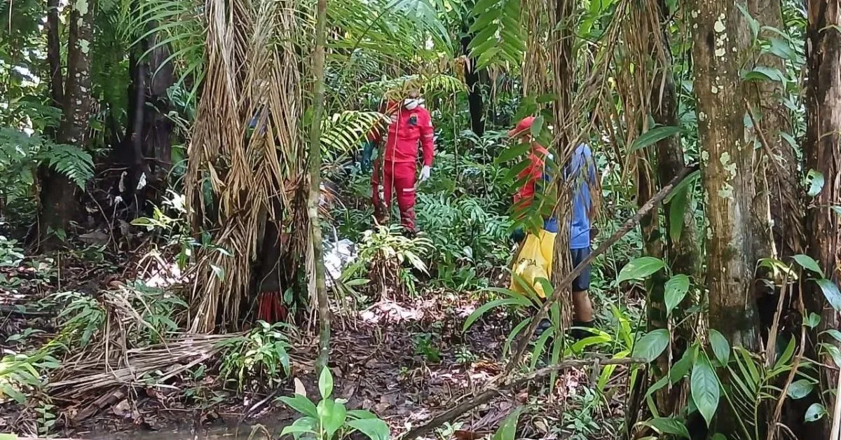 Partes do corpo encontrado no meio do mato
