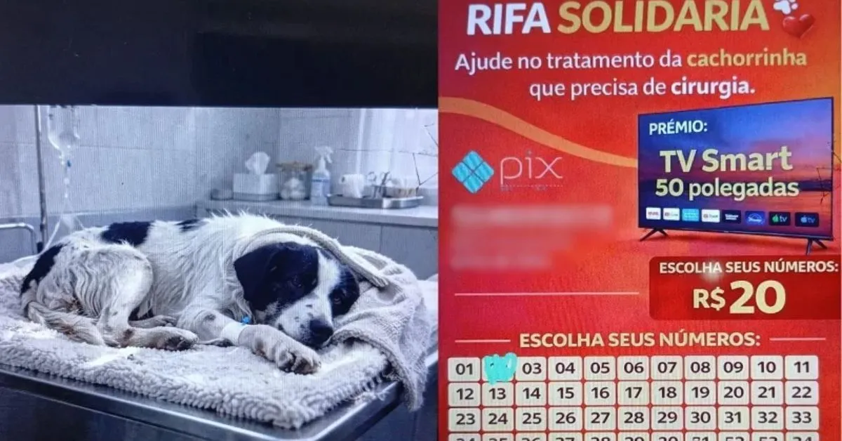 Arte feita em IA pela suspeita para aplicar o golpe