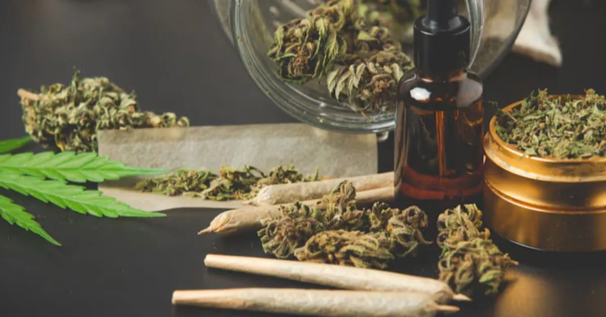 A maioria dos americanos apoia o relaxamento das restrições à maconha, segundo pesquisa citada no relatório.