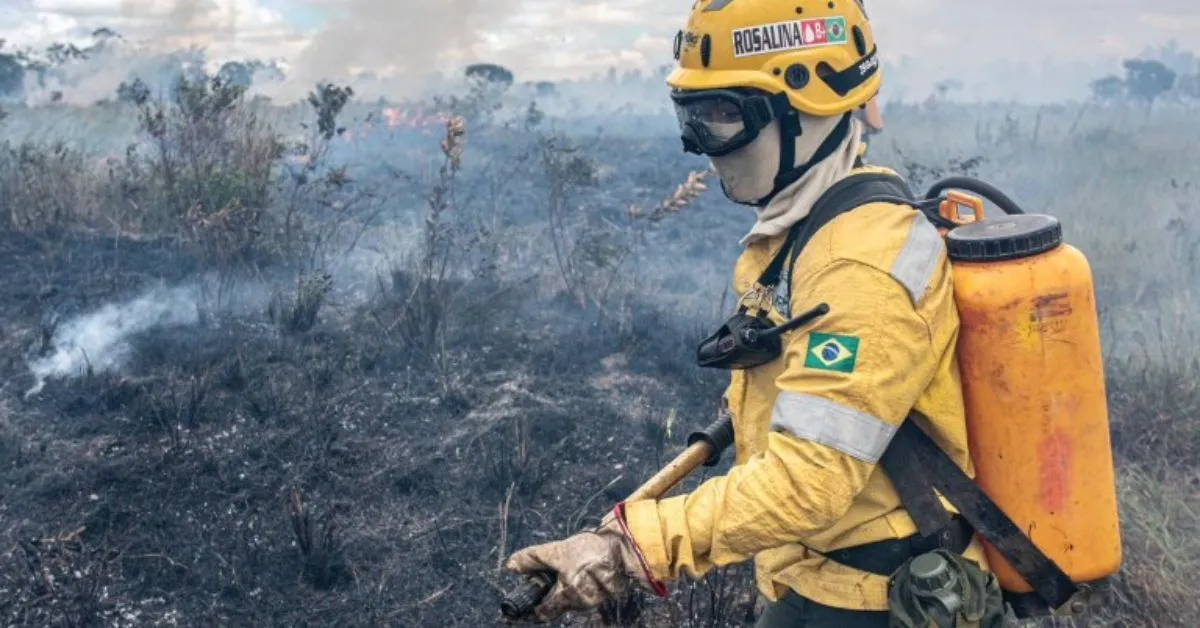 Ibama diz como será selegação de brigadistas temporários para combater incêndios