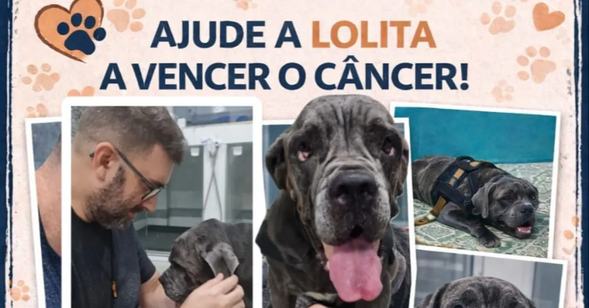 Corrente do bem ganha força nas redes sociais