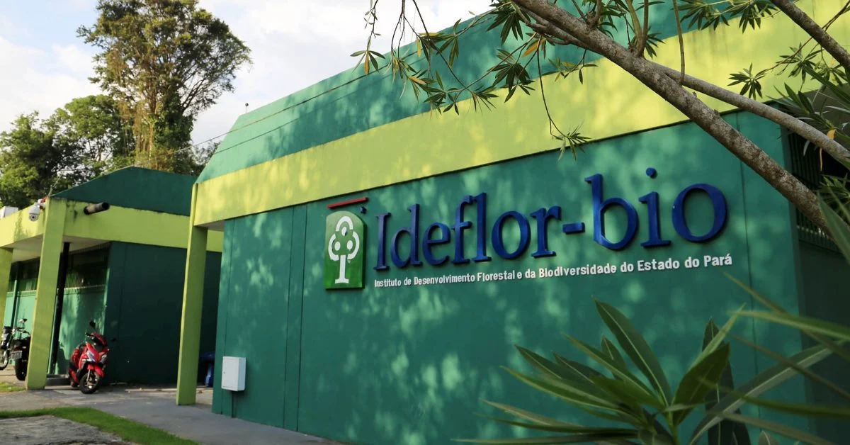 Imagem ilustrativa da notícia: Inscrições para PSS do IDEFLOR-Bio terminam nesta quinta (26)