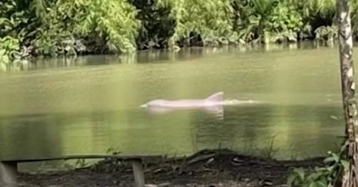 O caso repercutiu nas redes sociais e gerou comentários de pessoas que afirmam já ter vivido situações semelhantes.