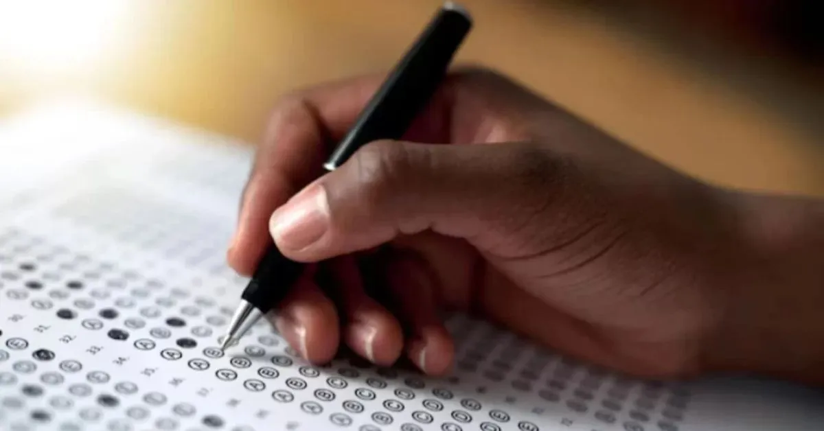 As vagas são para a área da educação e saúde