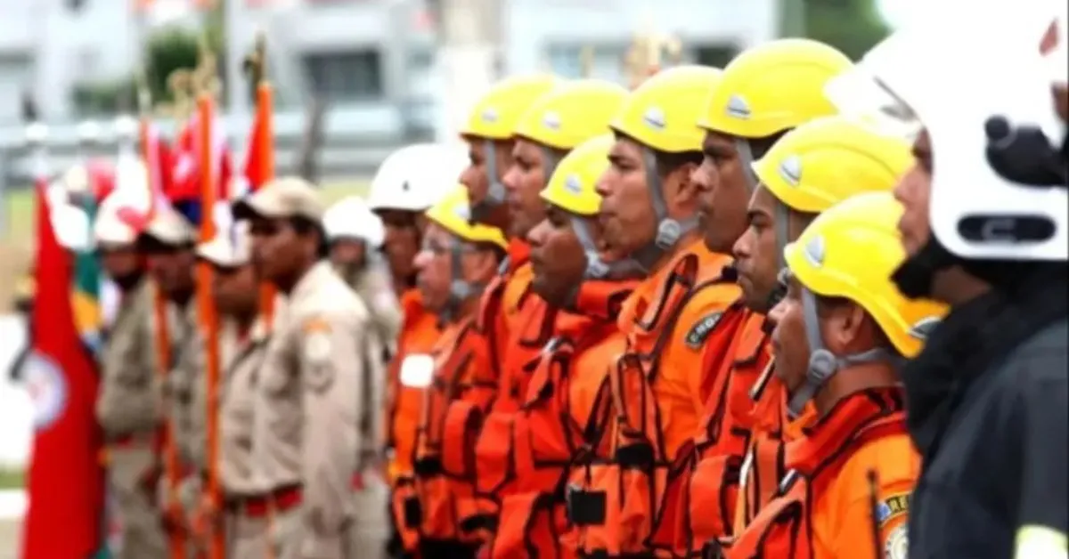 São 113 vagas para brigadistas