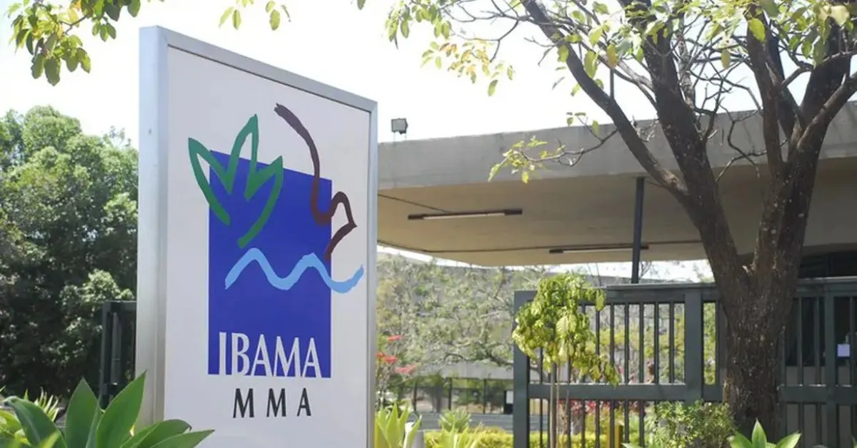 O processo seletivo possui etapa única, composta por provas objetivas e discursivas, ambas de caráter eliminatório e classificatório.