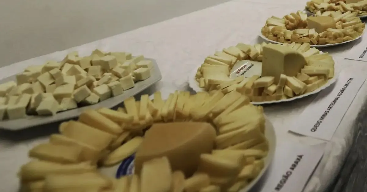 O grande erro não está no queijo em si, mas no volume ingerido.