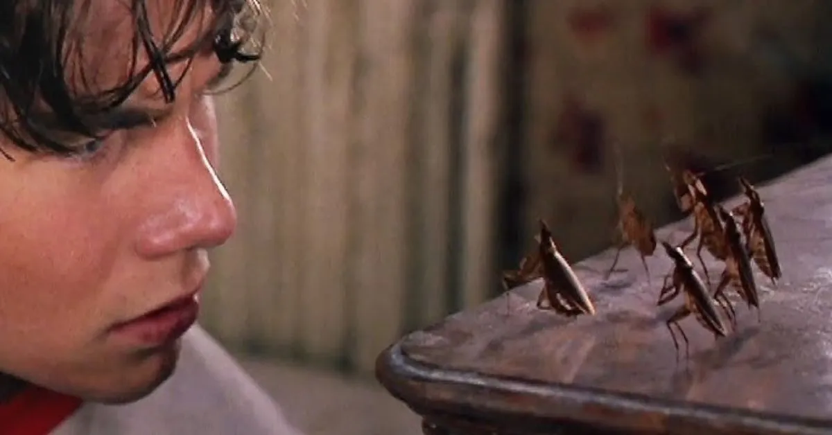 O Manejo Integrado de Pragas (MIP) não depende apenas de produtos químicos. A estratégia reúne práticas que transformam o ambiente em um local hostil à sobrevivência desses insetos.