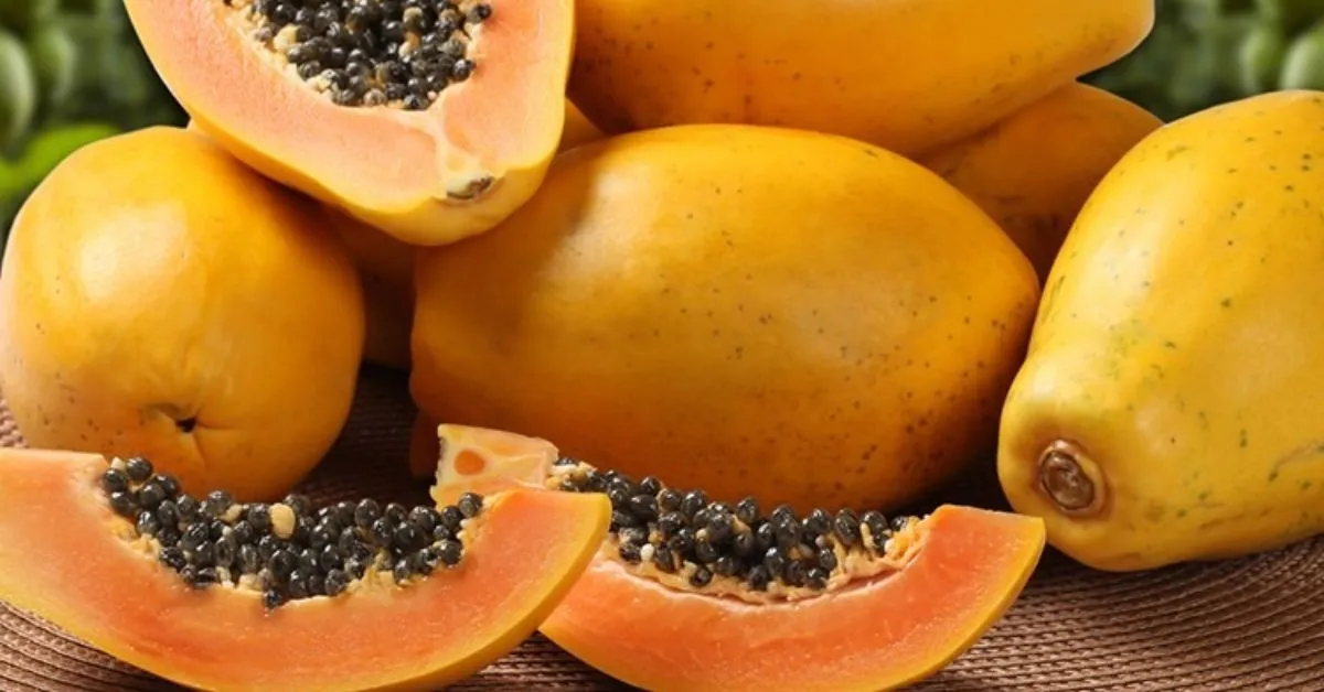 A presença de antioxidantes protege as células dos danos causados pelos radicais livres e ajuda a prevenir doenças degenerativas.