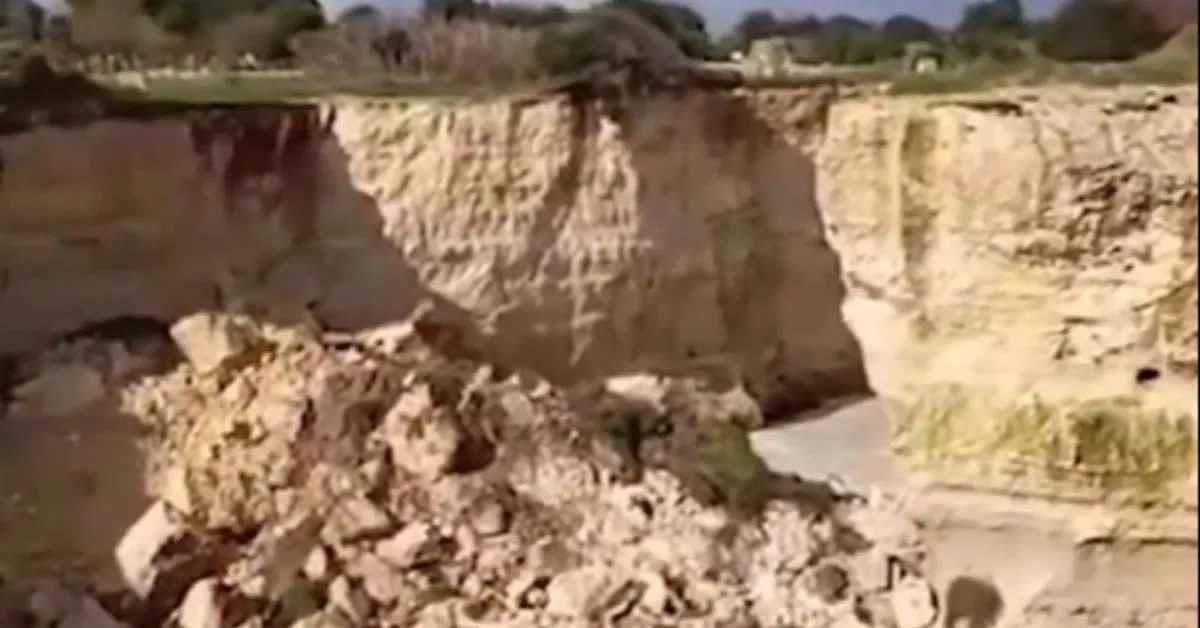Maurizio Cisternino, prefeito de Melendugno, manifestou pesar pela perda do patrimônio natural.