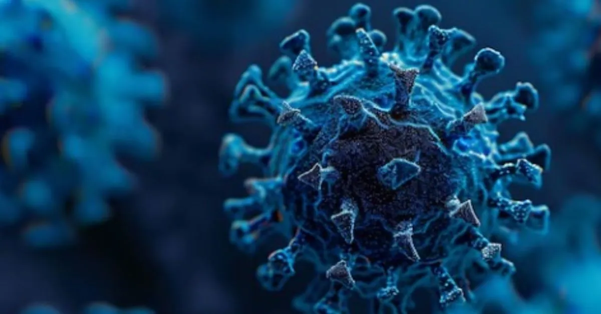 Para evitar a propagação, os profissionais de saúde recomendam que qualquer pessoa que tenha sido exposta ou apresente sintomas busque orientação médica.