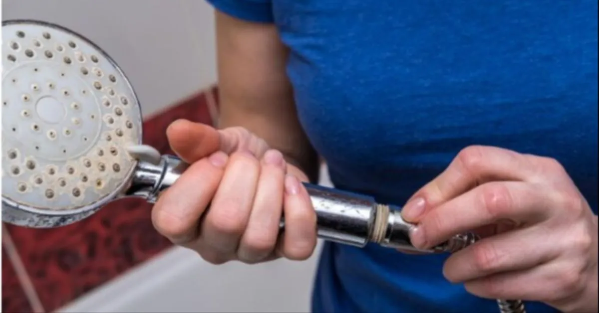 A limpeza regular do chuveiro não apenas garante um jato de água potente, mas também prolonga a vida útil do aparelho.