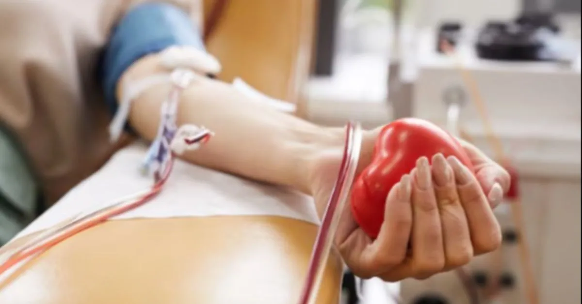 As doações podem ser realizadas em dois pontos da capital: No Instituto de Hematologia e Hemoterapia de Belém e na Fundação Hemopa.