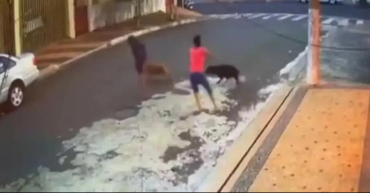 A tutora dos cães tentou conter os pit bulls, mas não conseguiu impedir que a criança fosse ferida.