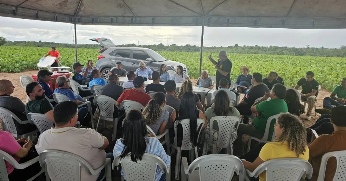 A reunião foi organizada pelas Promotorias de Justiça Agrária das regiões de Castanhal e Marabá e teve caráter técnico, orientativo e preventivo.