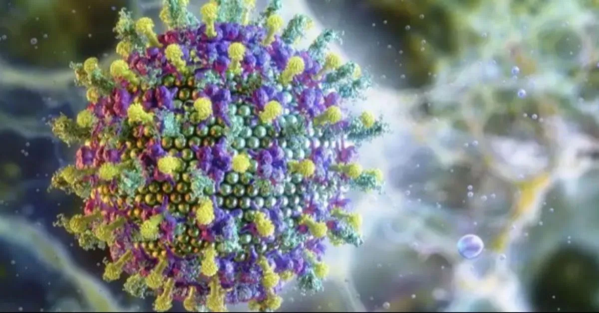 Vírus Nipah é conhecido pela alta taxa de letalidade, variando entre 40% e 75%.