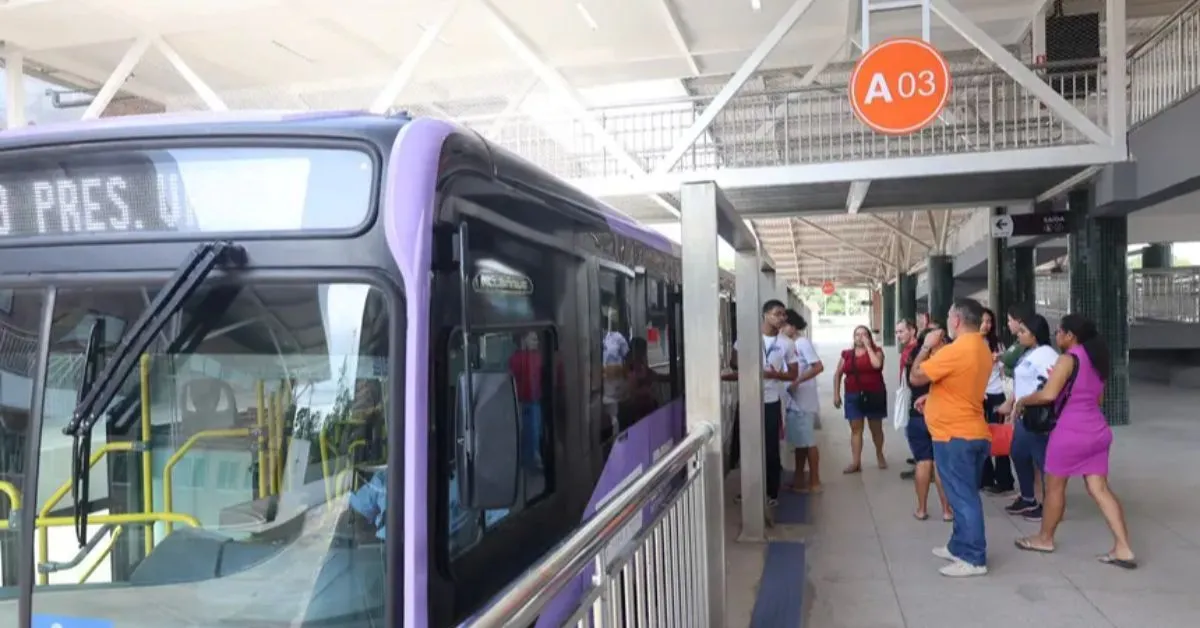 Sistema opera com 6 linhas troncais e 26 alimentadoras, interligando Castanhal, Santa Izabel, Santa Bárbara, Benevides, Marituba, Ananindeua e Belém.