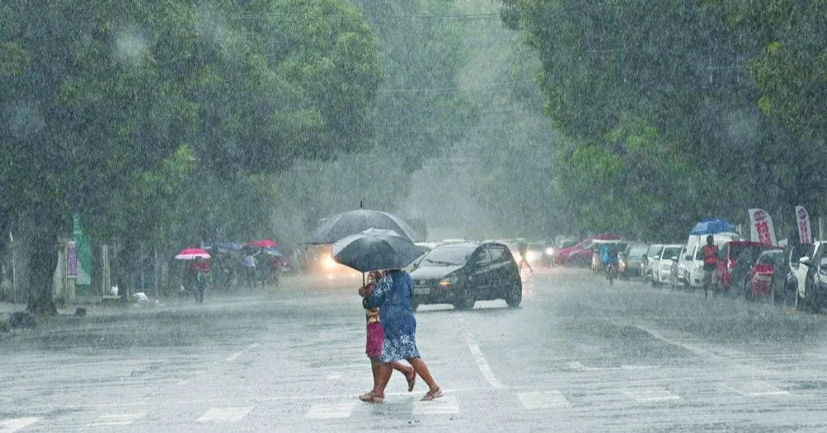 INMET também alerta para riscos de quedas de árvores, danos a plantações e possíveis cortes no fornecimento de energia elétrica.