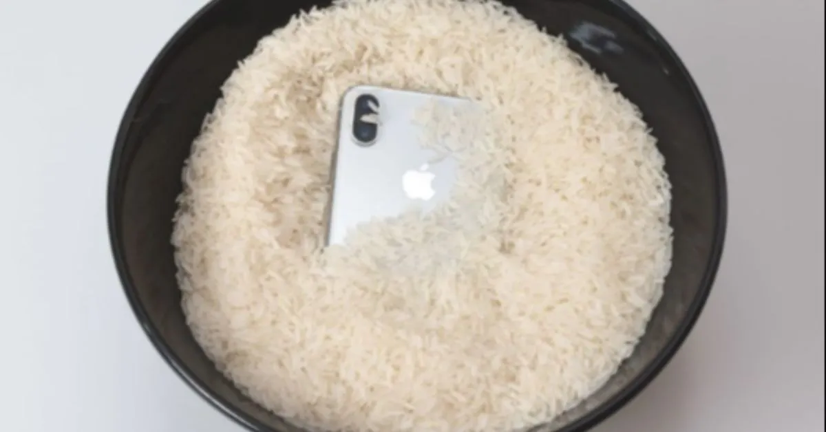 Arroz de celular? A dica não é recomendada assim