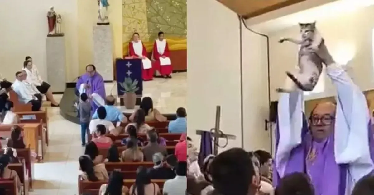 O gato também foi erguido e apresentado para os fiéis ao fim da missa.